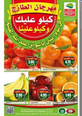 ootto نسخ
