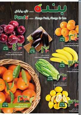 pan نسخ 1