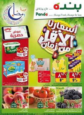 padn page20 image1 نسخ