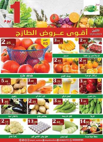 عروض العقيل 21-1-2010