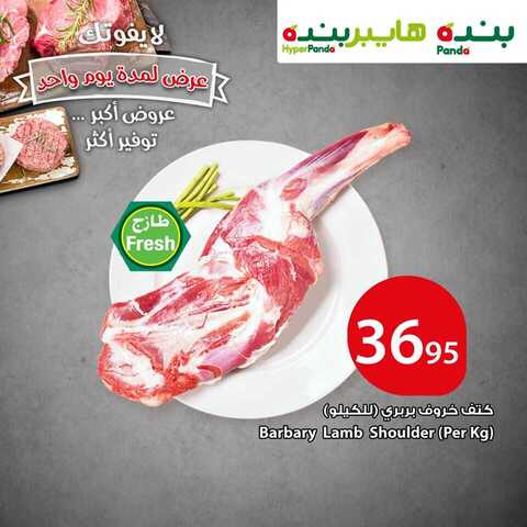 عروض بنده 1-1-2019
