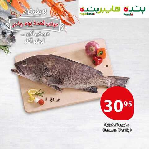 عروض بنده اليوم 16 يناير 2019 الموافق 10 جمادى الأولى 1440 عروض اليوم فقط 5 عروض بنده 16-1-2019