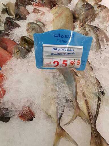 عروض بنده و هايبر بنده عروض الاسماك بتاريخ 23/2/2019 يوم السبت والأحد و الأثنين 3 ٢٠١٩٠٢٢٣ ١٧٠٠٥١