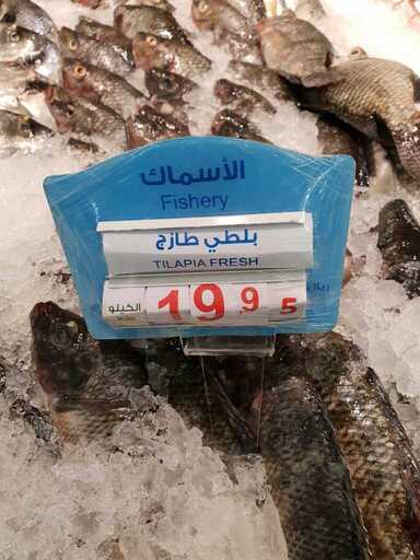 ٢٠١٩٠٢٢٣ ١٧٠٠٥٦