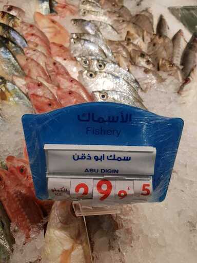 ٢٠١٩٠٢٢٣ ١٧٠١١٤