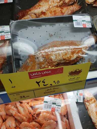 ٢٠١٩٠٢٢٣ ١٧٠٤٢٣