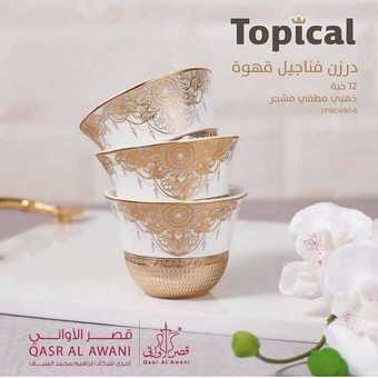 عروض قصر الاواني اليوم 18 مارس 2019 الموافق 11 رجب 1440 5 53737179 2350635728292654 5218254912382566400 n 1
