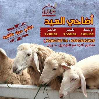 عروض المطاعم : مطعم سما بلدي اليوم السبت 25 يوليو 2020 - عروض أضاحي العيد 5 7 7