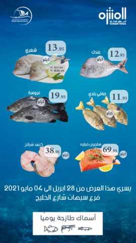 عروض أسواق المنتزه اليوم 1 مايو 2021 الموافق 19 رمضان 1442 مهرجان الأسماك الطازجة 1 180098672 3810466025688471 255642391416407883 n