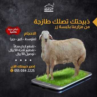 عروض مطعم سما بلدي اليوم الخميس 8 يوليو 2021 - عروض الصيف معنا أحلى 5 عروض مطعم سما بلدي