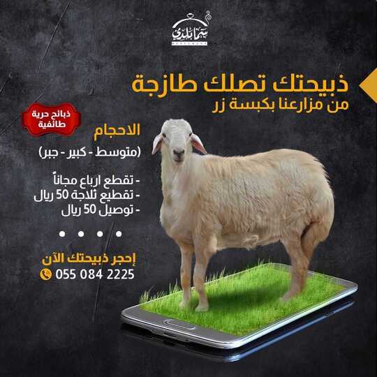 210533998 558158152015305 6504803895146178562 n1