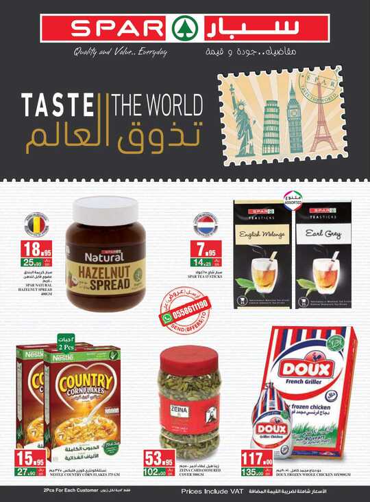 Spar Flyer _compressed_
