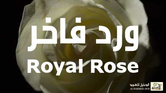 FB IMG 1636411062000