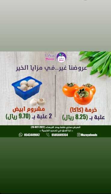 IMG 20221026 WA0018
