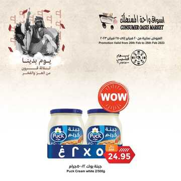 consumer oasis 1676823309813400