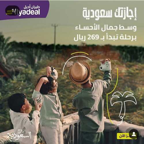 عروض طيران أديل اليوم 25 نوفمبر 2023 سافر بأقل الأسعار مع الطيران الأحدث في المملكة 5 3122297293