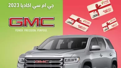 4558Estrenwestrenriyadhskakaarar 3