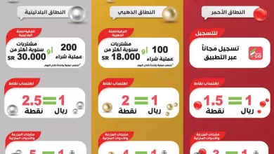 4558Estrenwestrenriyadhskakaarar 44