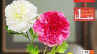 FB IMG 1699109461138