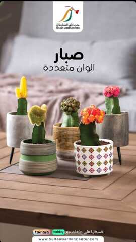 عروض حدائق بيت السلطان 16 نوفمبر 2023 الموافق 2 جمادى الأولى 1445 ، عروض مسلتزمات الحدائق 10 Screenshot 20231116 170030 1