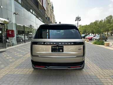 alo car 1698873812617