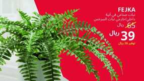 ikeasaudiarabia 1700833222868
