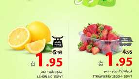 عروض الراية