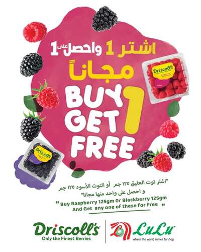 عروض لولو حائل اليوم 25/12/2023 الموافق 12/6/1445 مهرجان التوت الرائع 7 5371756404