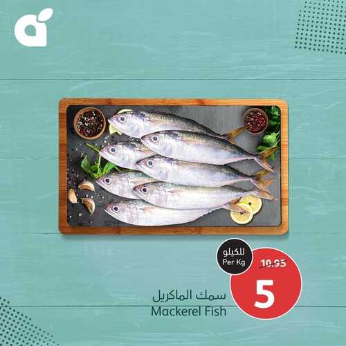 عروض بنده اليوم 17.12.2023 الموافق 4.6.1445 مهرجان الأسماك الطازجة 3 أيام 5 عروض بنده