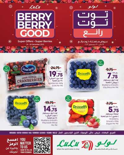 عروض لولو حائل اليوم 25/12/2023 الموافق 12/6/1445 مهرجان التوت الرائع 5 عروض لولو حائل