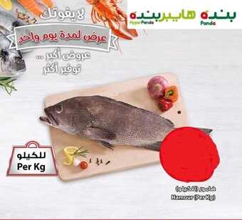عروض بنده الأسماك الثلاثاء والأربعاء ١ و ٢ صفر ١٤٤١ 2 عروض بنده