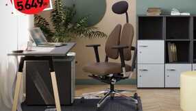 backcomfort 1703406210224