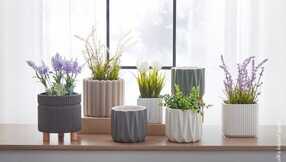 homebox sa 1702021967135