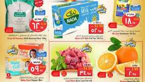 nesto offer 3504 1 1