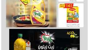 مكة المكرمة و جدة الدانوب 13
