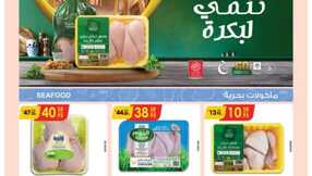 مكة المكرمة و جدة الدانوب 9