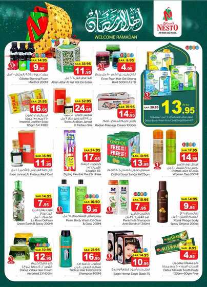 nesto offer 5588 Page 27