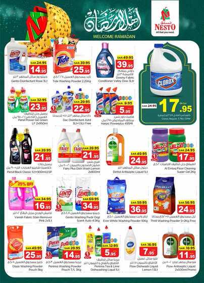 nesto offer 5588 Page 29