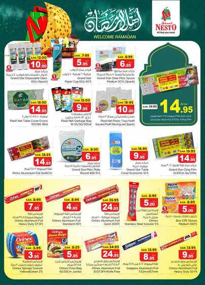 nesto offer 5588 Page 31