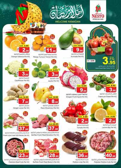 nesto offer 5595 Page 02