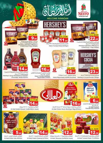 nesto offer 5595 Page 08