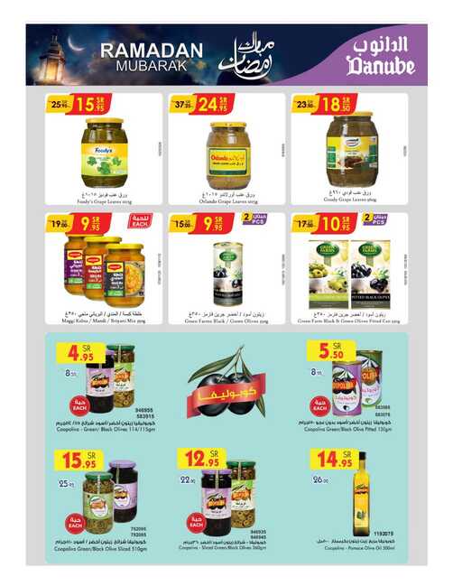 مكة المكرمة و جدة الدانوب Page 19 1