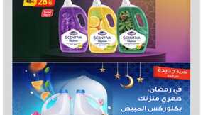 مكة المكرمة و جدة الدانوب Page 83
