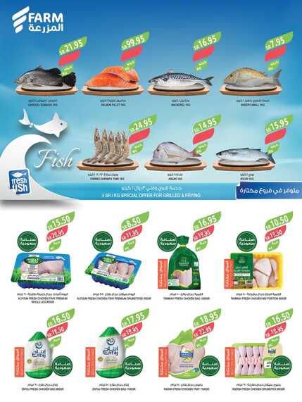5117eastern region ALRIADH ARAR western Jeddah 10 to 23 april 1 Page 32