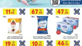 MADINAH JEDDAH MAKKAH TAIF 26 06 2024 till 02 07 2024 1 2