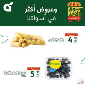 سوق الأحد بندة 25 أغسطس 2024 الموافق 21 صفر 1446 عروض الاصناف الطازجة 8 5 1