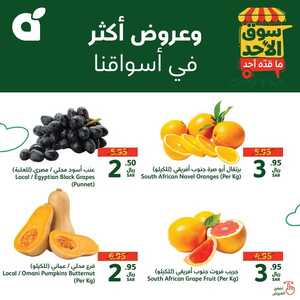 سوق الأحد بندة 25 أغسطس 2024 الموافق 21 صفر 1446 عروض الاصناف الطازجة 9 6 1