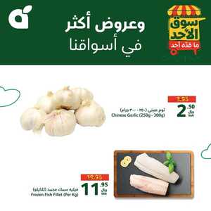 سوق الأحد بندة 25 أغسطس 2024 الموافق 21 صفر 1446 عروض الاصناف الطازجة 11 8 1