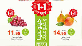 FreshFoodFestival Page 1