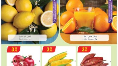 المنطقة الغربية العروض الاسبوعية الدانوب Page 03